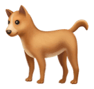 🐕 Un perro