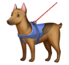 🐕‍🦺 Hizmet Köpeği