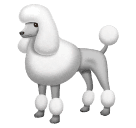 🐩 Un caniche