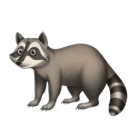 🦝 Waschbär