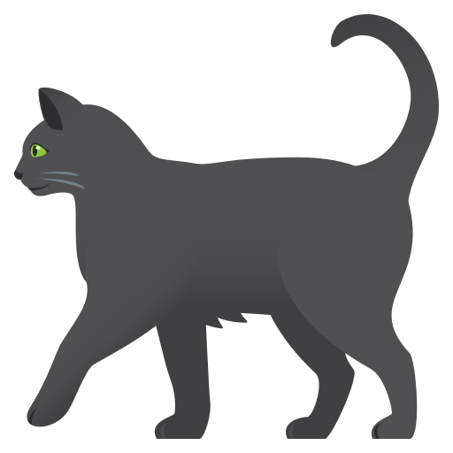 🐈‍⬛ Gatto nero
