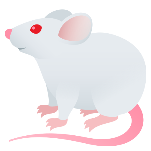 🐁 Mysz