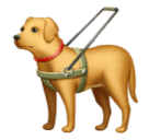 🦮 Cão-guia