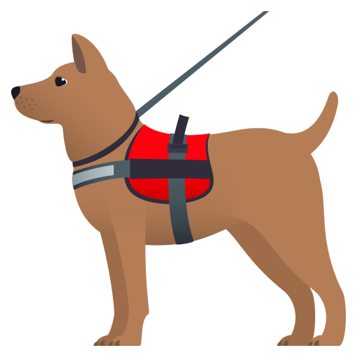 🐕‍🦺 Hizmet Köpeği