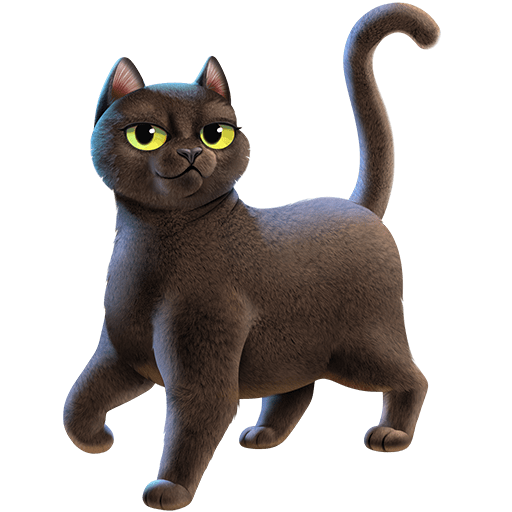 🐈‍⬛ Gatto nero