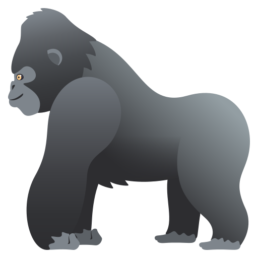 🦍 Un gorilla