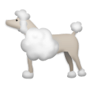 🐩 Un caniche