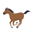 🐎 Bir At