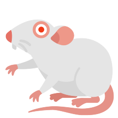 🐁 Mysz