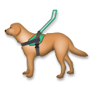 🦮 Cão-guia