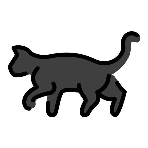 🐈‍⬛ Gatto nero
