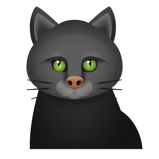 🐈‍⬛ Gatto nero