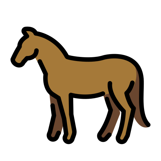 🐎 Bir At