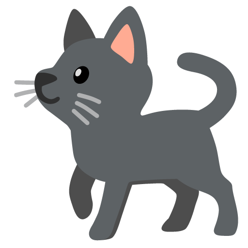 🐈‍⬛ Gatto nero