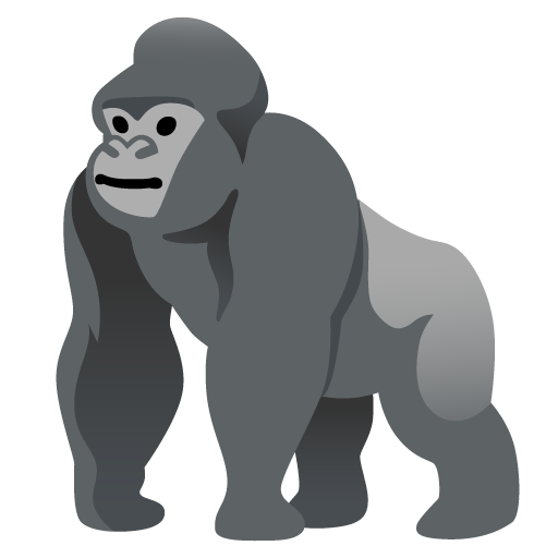 🦍 Un gorilla