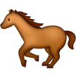 🐎 Bir At