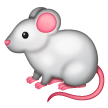 🐁 Mysz