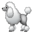🐩 Un caniche