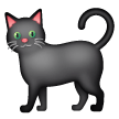 🐈‍⬛ Gatto nero