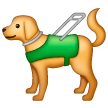 🦮 Cão-guia