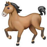 🐎 Bir At