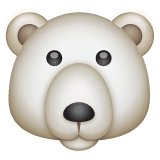 🐻‍❄️ Ours polaire