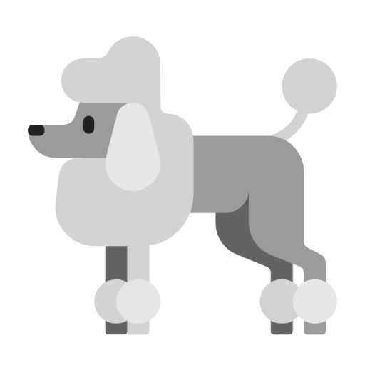 🐩 Un caniche