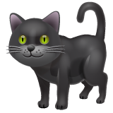 🐈‍⬛ Gatto nero