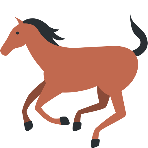 🐎 Bir At