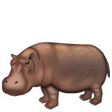 🦛 Hippopotamus