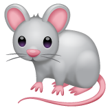 🐁 Mysz