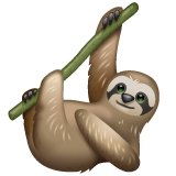 🦥 Bradipo