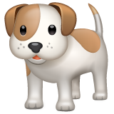 🐕 Un perro