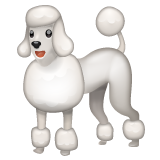 🐩 Un caniche