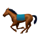 🐎 Bir At