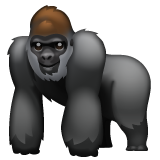 🦍 Un gorilla
