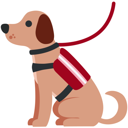 🐕‍🦺 Hizmet Köpeği