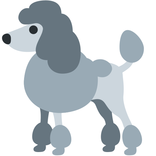 🐩 Un caniche