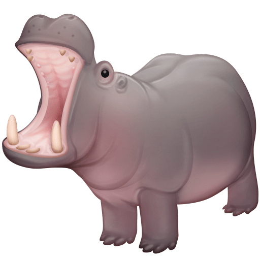 🦛 Hippopotamus