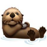 🦦 Lontra