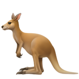 🦘 Känguru
