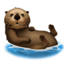 🦦 Lontra