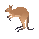 🦘 Känguru