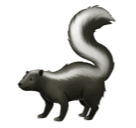 🦨 Zorrillo